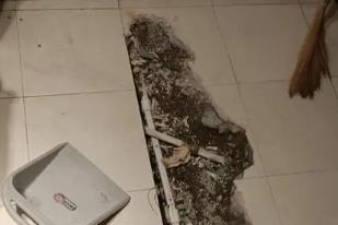 太平卫生间漏水检测电话